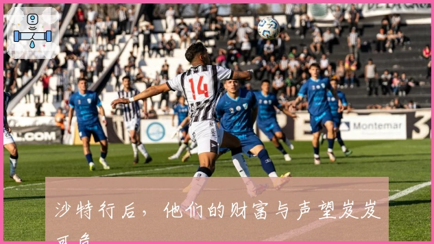 沙特行后，他们的财富与声望岌岌可危