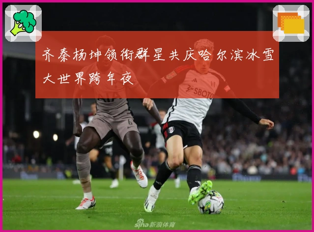 齐秦杨坤领衔群星共庆哈尔滨冰雪大世界跨年夜