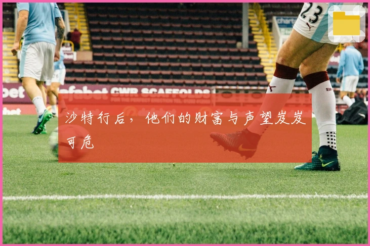 沙特行后，他们的财富与声望岌岌可危